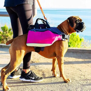 Bum’s Pack dog life vest size medium new in pack with water bottle -+ bowl